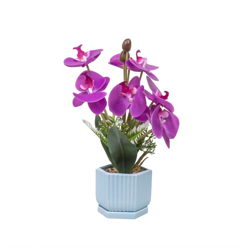 Aranjament floral in ghiveci din ceramica, model orhidee, H 37cm, culoare fucsia / ZTS 8055_1