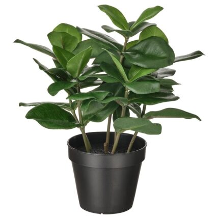 Planta Clusia decorativa artificiala, 12 cm
