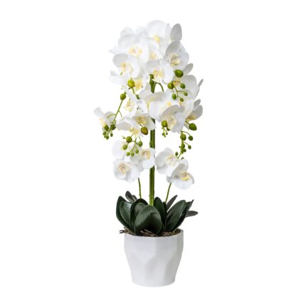 Orhidee 4 fire cu aspect natural in ghiveci ceramic alb, H 75 cm / CD4835_Alb