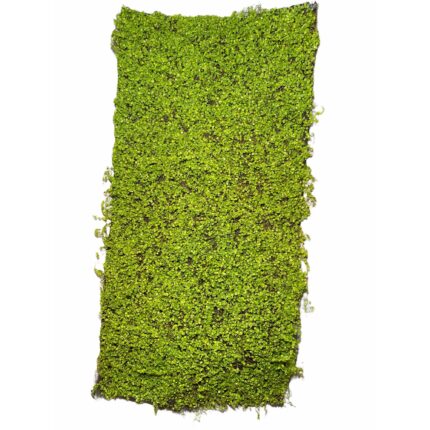 Panou iarba artificiala Atelier, 100x50cm, Verde Deschis