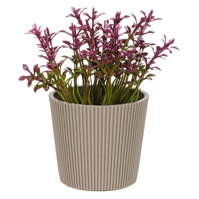 Ghiveci Decorativ Bej din Plastic cu Floare Artificiala Bordo Ø6.5x11cm