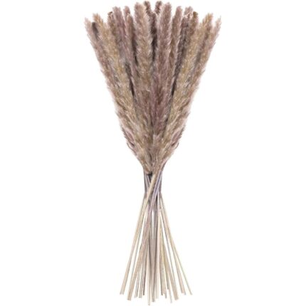 Set 20 flori uscate, JeiibrZui, 60 cm, Maro/Bej