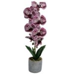 Orhidee artificiala cu aspect natural in ghiveci ceramic gri, 50 cm, Alb/Visiniu