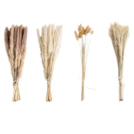 Set 100 fire de iarba pampas uscata, 35-43 cm, bej/maro