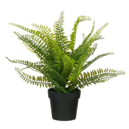 Ghiveci negru, Zola®, Feriga 30x30x30 cm