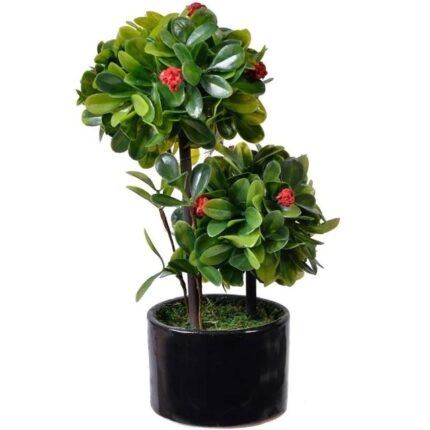 Ghiveci decorativ, Zola®, negru, din ceramica, cu 2 bonsai, 20x7 cm