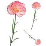 Buchet flori artificiale, Cauciu/Plastic, Roz
