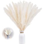 Set 15 fire iarba de pampas uscata, 43 cm, Alb