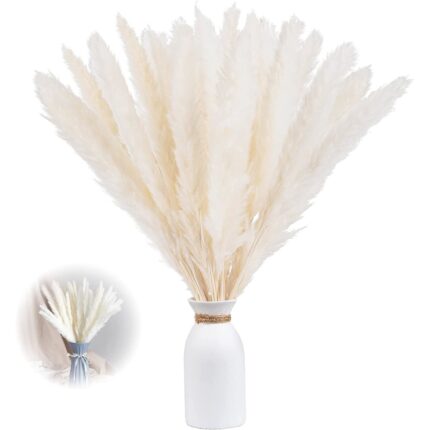 Set 15 fire iarba de pampas uscata, 43 cm, Alb