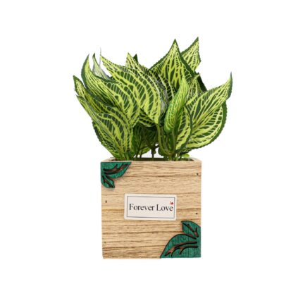 Ghiveci Lemn Cu Flori, Verde, Plastic, 21Cm
