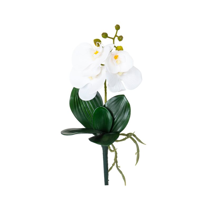 Fir orhidee + frunze, inaltime 30cm / CD4501_A