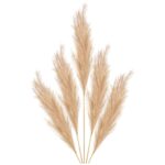 Fir Pampas natural 110cm SF8481