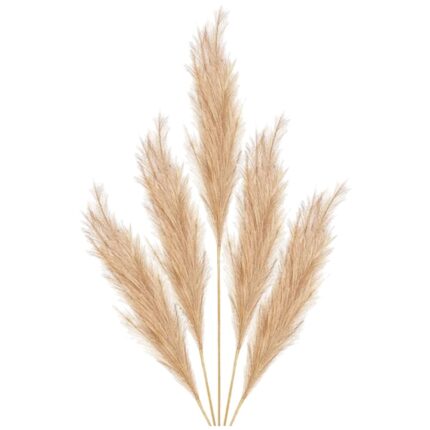 Fir Pampas natural 110cm SF8481
