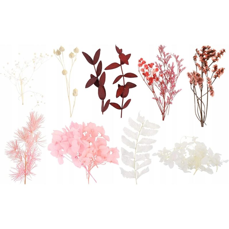 SET FLORI NATURALE USCATE PRESATE, VALICLUD, MULTICOLOR