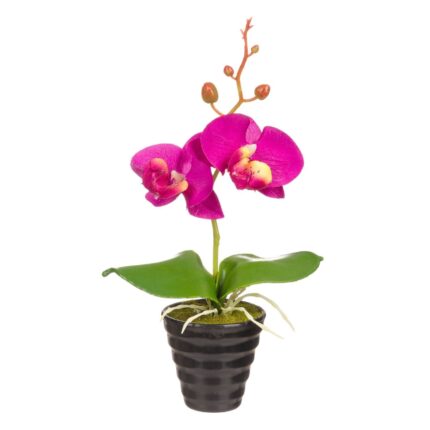 Orhidee mov , Dragmari Luxury Decor, 25,6 cm