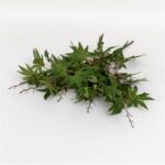 Buchet frunze artificiale, H 50 cm, B.S.P. / SL619