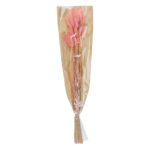 Planta decorativa, buchet Lagurus, roz, 60cm