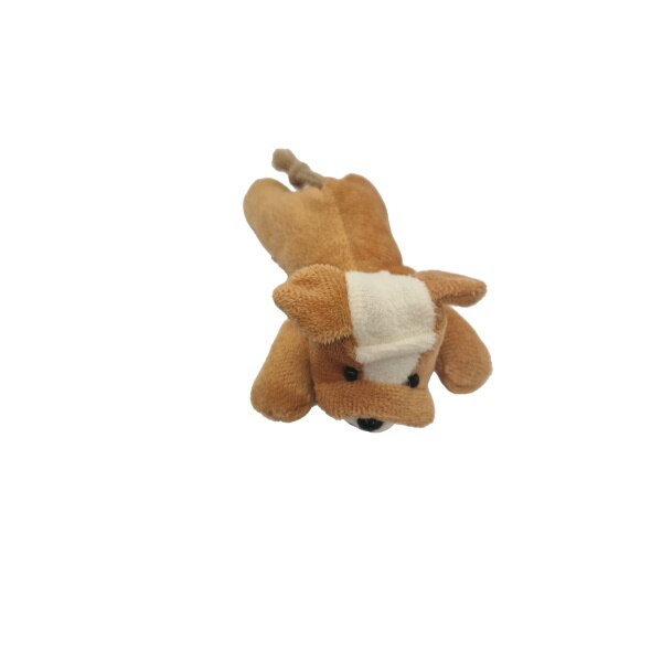 Decoratiune de plus cu magnet, catel 11 cm