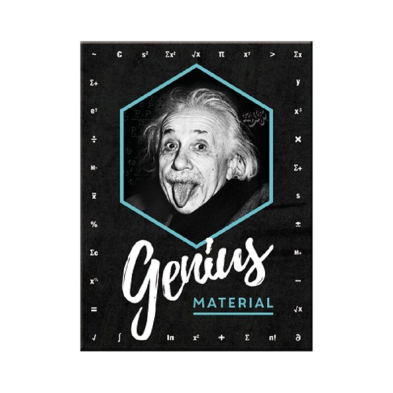 Magnet - Einstein - Genius