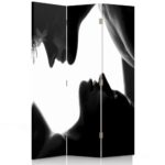Paravan de camera, Legendarte, First Kiss, 38 x 152 x 7 cm