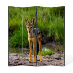Paravan 4 piese Premium TrueColor, Art Star, Sacal privind spre fotograf, Animale, Panza pe cadru de lemn, Decoratiuni Moderne pentru Casa, 4 Panouri de 35x180, 140 x 180 cm