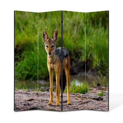Paravan 4 piese Premium TrueColor, Art Star, Sacal privind spre fotograf, Animale, Panza pe cadru de lemn, Decoratiuni Moderne pentru Casa, 4 Panouri de 35x180, 140 x 180 cm