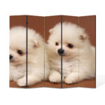 Paravan 5 piese Premium TrueColor, Art Star, Pui de pomeranian alb, Animale, Panza pe cadru de lemn, Decoratiuni Moderne pentru Casa, 5 Panouri de 35x180, 175 x 180 cm