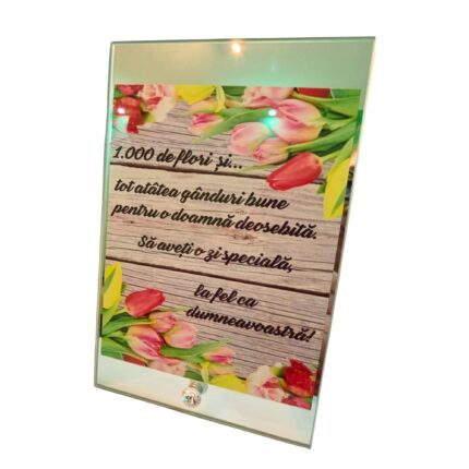 Placheta sticla, cu mesaj, pentru o doamna deosebita, 23x15cm
