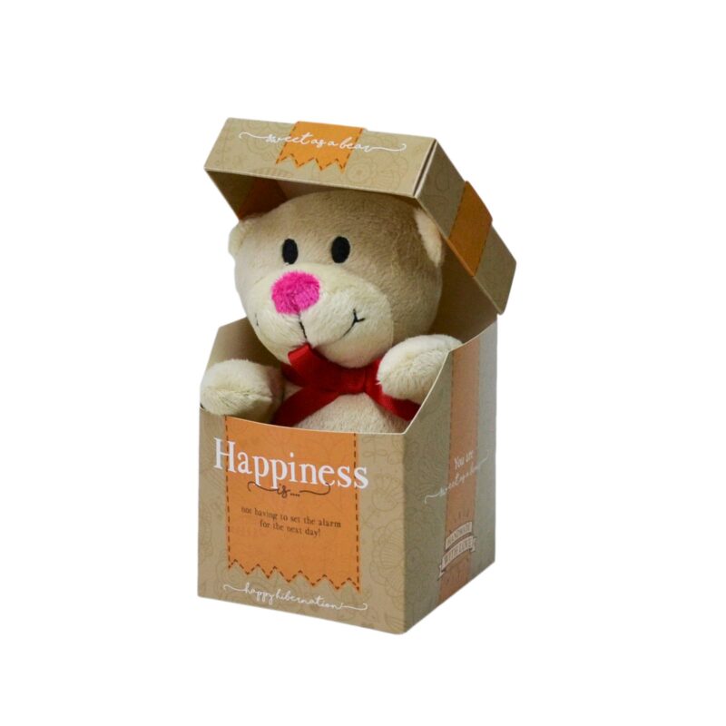 Urs Plus in cutie cu mesaj personalizat "Happiness Is...", 12.5 x 9 cm