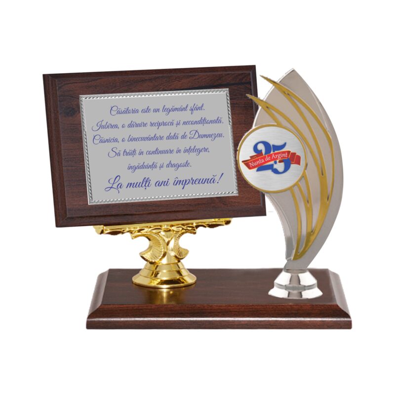 Cadou Trofeu pentru Nunta de Argint 2, Maro cu Argintiu 3 componente, 18x14cm