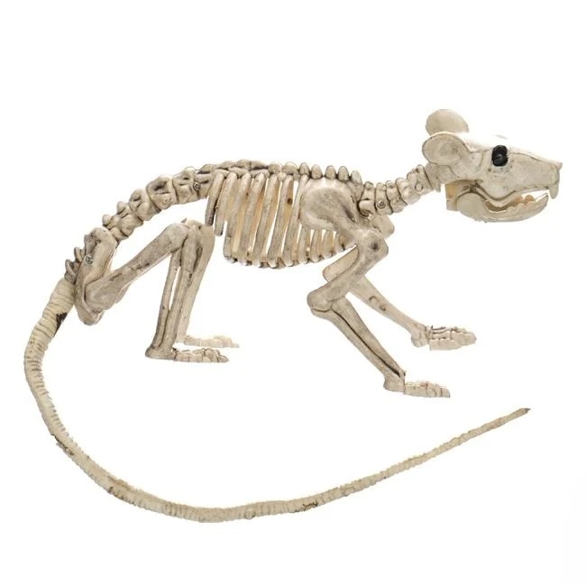 Schelet decorativ realist de soarece pentru Halloween, 20 cm
