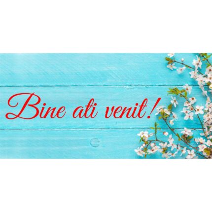 Banner "Bine ati venit" model cu fundal albastru, 60 x 120 cm