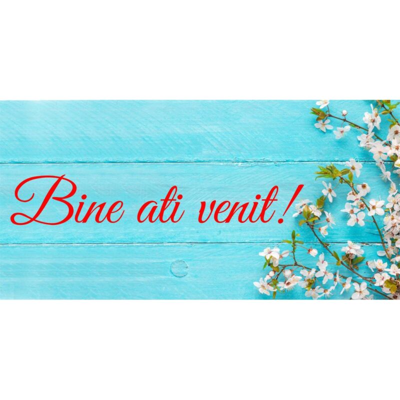 Banner "Bine ati venit" model cu fundal albastru, 60 x 120 cm