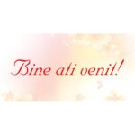Banner "Bine ati venit" cu flori si fluturi, 50x100 cm
