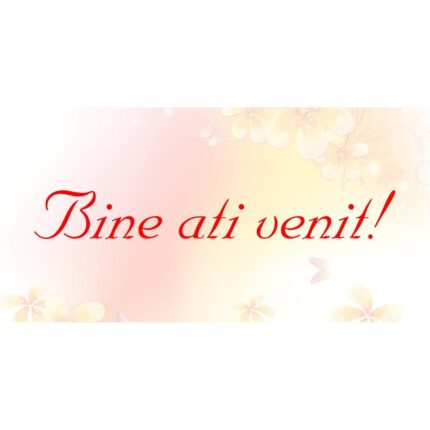 Banner "Bine ati venit" cu flori si fluturi, 50x100 cm