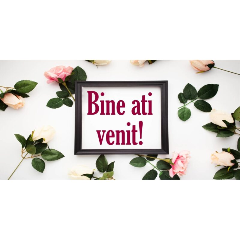 Banner "Bine ati venit" model cu tradafiri colorati, 60 x 120 cm
