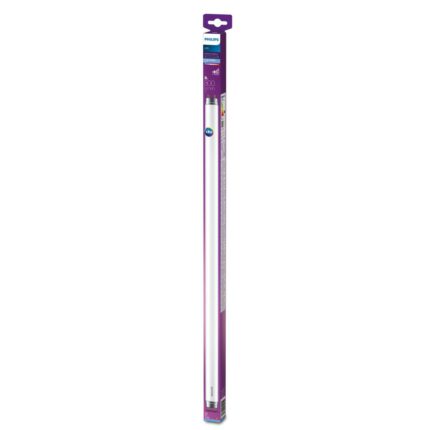 Tub LED Philips T8, G13, 8W (18W), 800 lm, lumina naturala rece (6500K), 600 mm, clasa energetica F