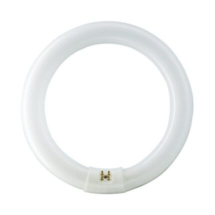 Tub Fluorescent Circular 22W G10Q Lumina Rece, Philips
