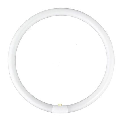 Neon tub circular, 38W, lumina alba