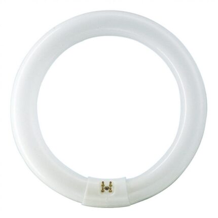 Tub Fluorescent Philips Master TL-E Circular, T9, 40W, 10000h, lumina calda