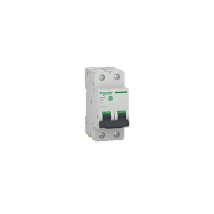 Intreruptor automat 2P 4500 A C 25A