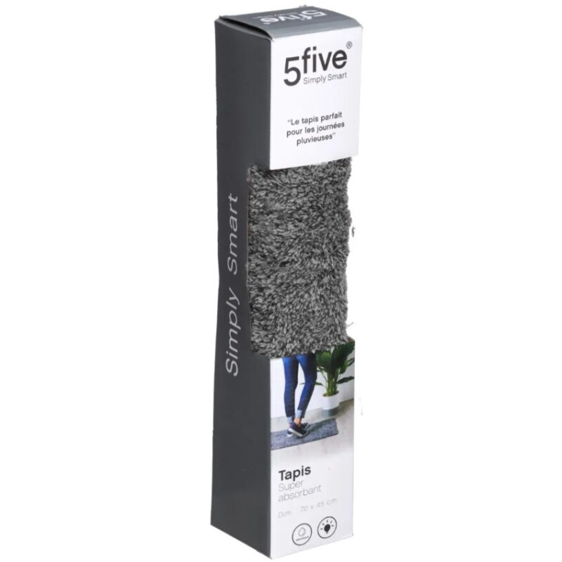 Covoras intrare absorbant gri, 60 x 90 cm